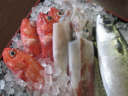 新鮮な魚介類